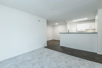 Plush carpet & wood-style flooring